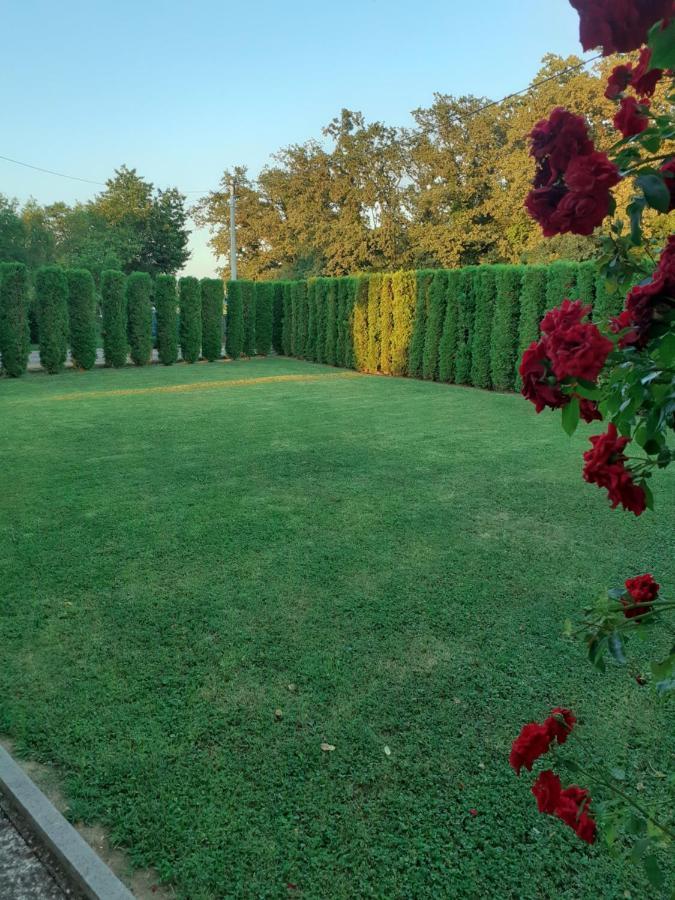 Apartamento Maja Velika Gorica Exterior foto